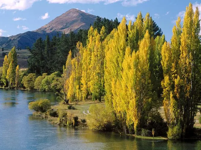 工业创新